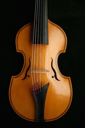 7 snarige Viola d'amore naar voorbeeld van J. Rauch