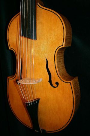 6-snarige viola d'amore naar voorbeeld van Georg Aman