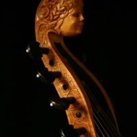 nwecolichon03