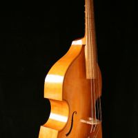 07violone
