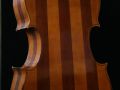 IMG 7801