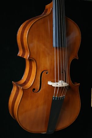 6-snarige violone in G naar Italiaans voorbeeld