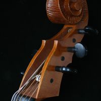 IMG 7812