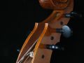 IMG 7812