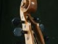 IMG 9333